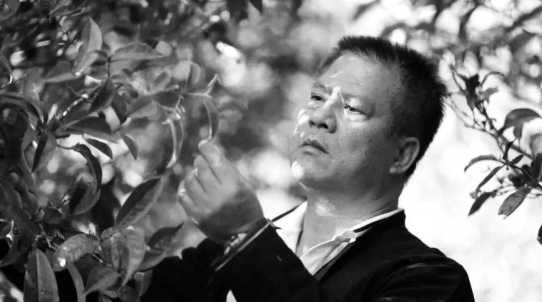 沉痛悼念今大福茶业董事长何宝强先生