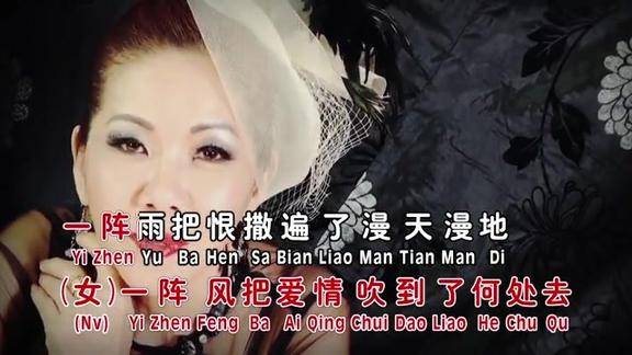 湛爱铃陈荣发风雨恋怀旧经典