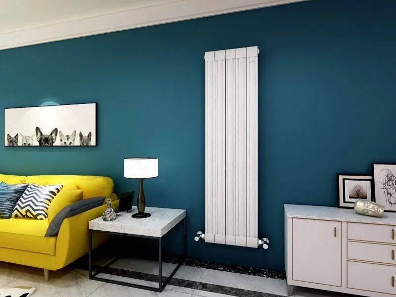 客厅是整个房子的中心区域, 而这个空间的面积也相对较大, 暖气片