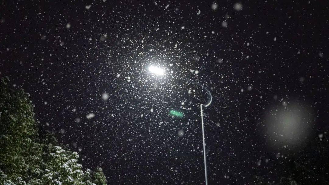 初雪与你,如约而至_雪花