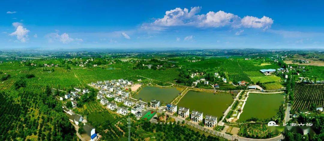 因为这个金宝贝长寿这个村再次闻名全国