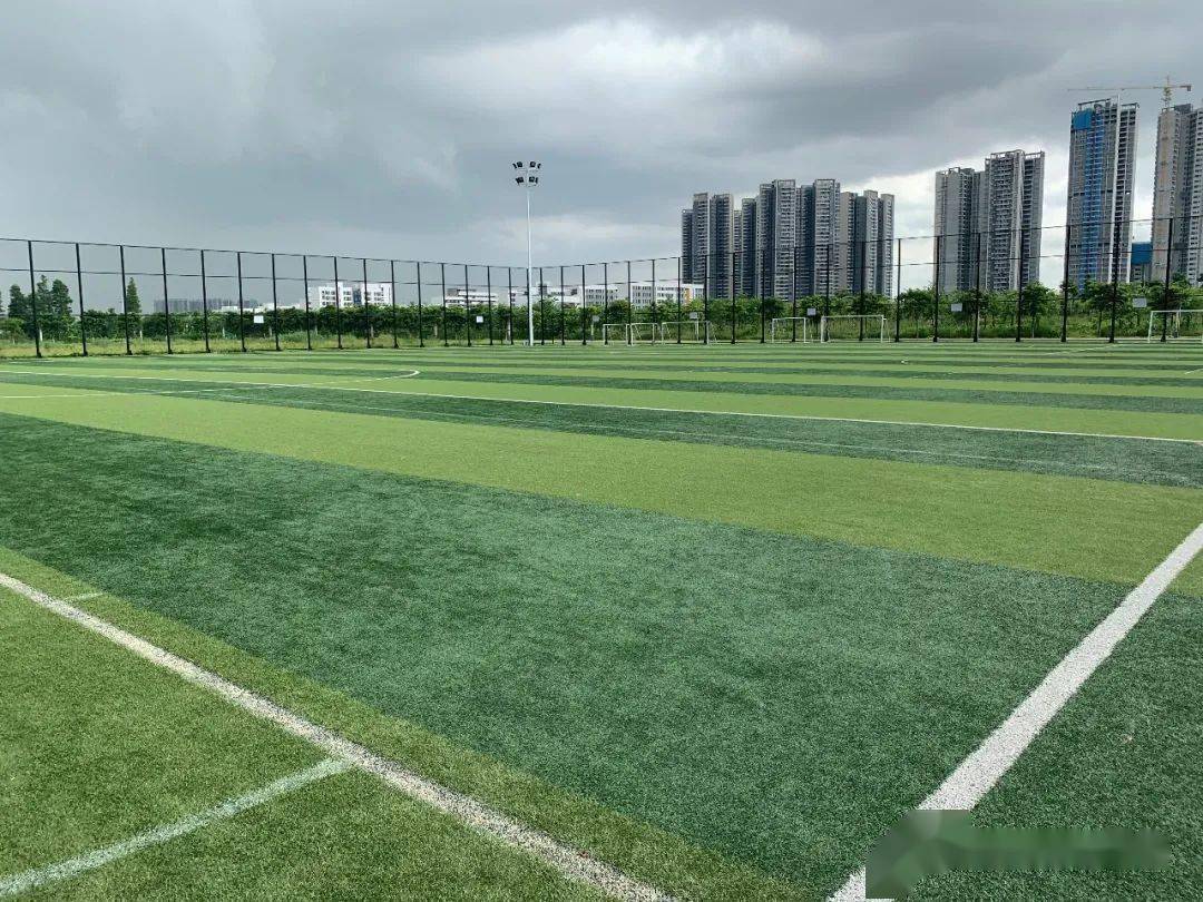 2020广东省足球协会杯在顺德北滘开赛!_比赛