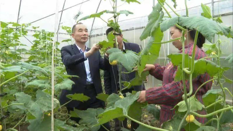 西部经理人推荐陕西安康天瑞塬生态农业有限公司总经理刘瑞红