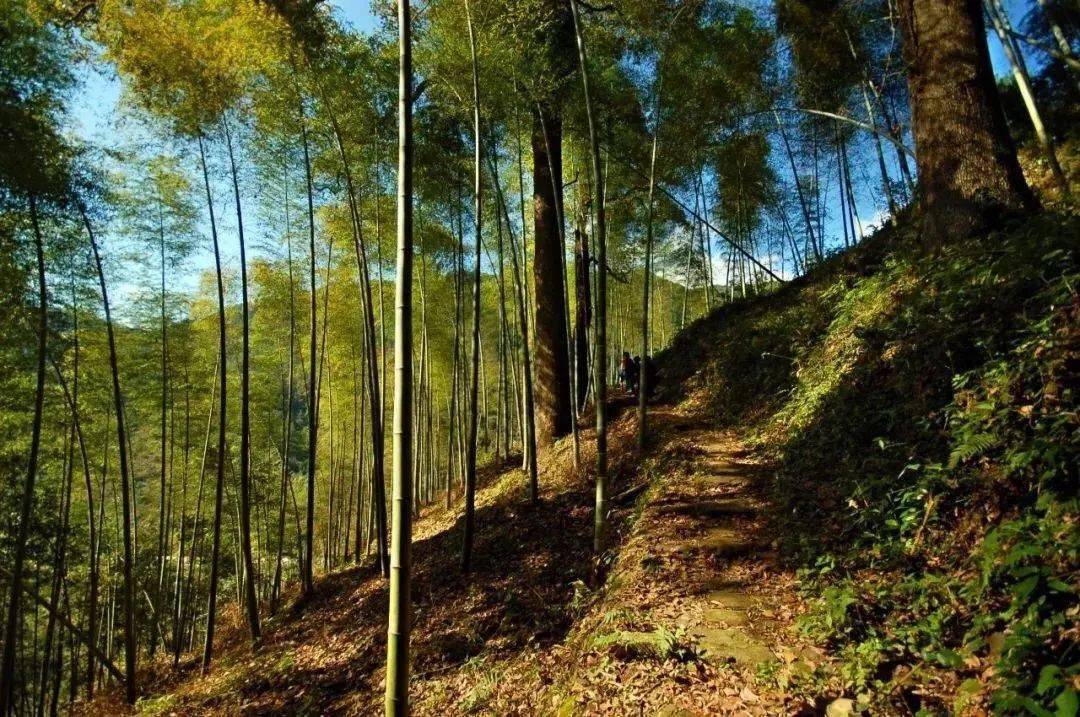 溧阳松岭古道徒步图片