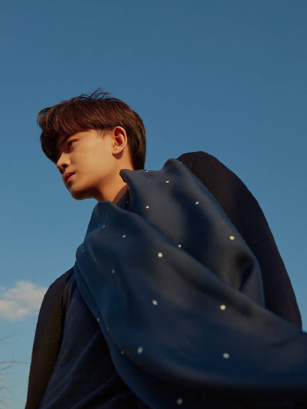 今天硬照达人也在传授显腿长技巧任嘉伦最新loropiana秋冬大片出炉