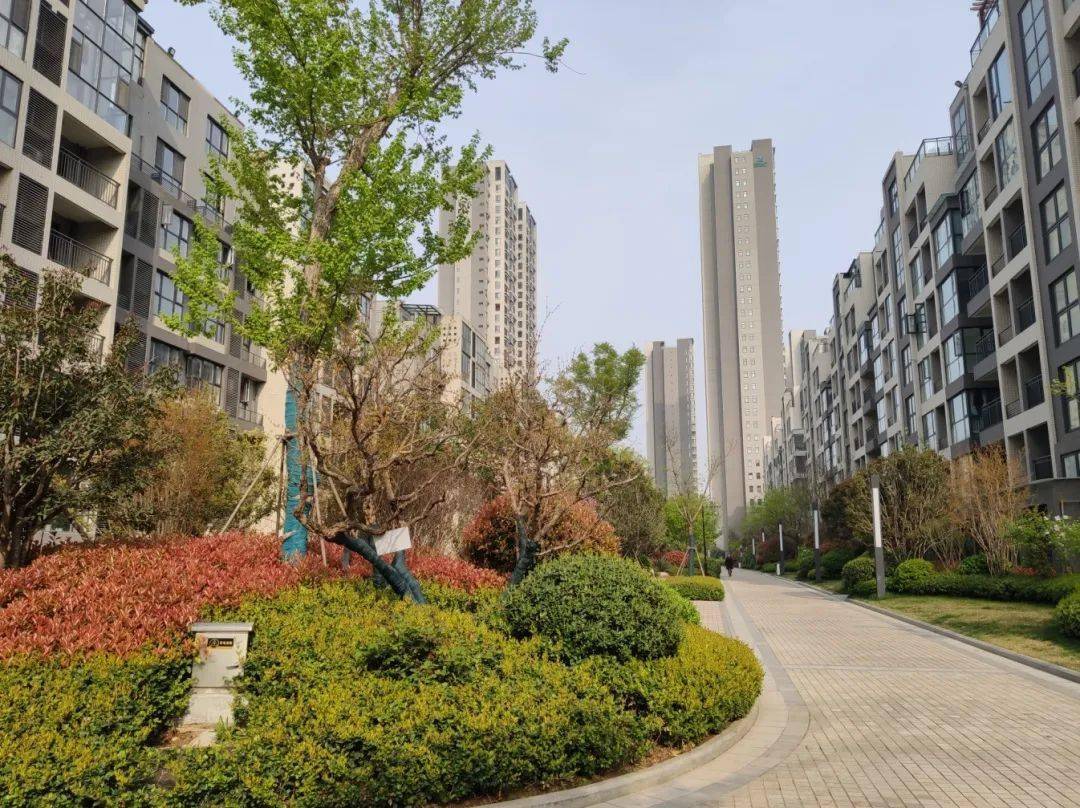 返乡洛阳·当选正商丨洛阳正商城懂你的故乡情