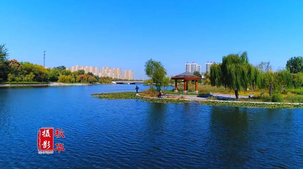 菏水之美 诠释生命之泽_菏泽