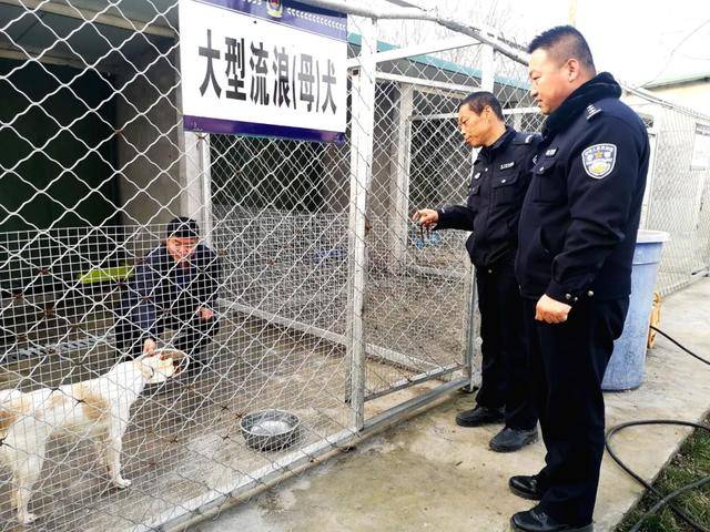 讓流浪狗不再流浪公安長安分局犬隻收容所採取了這些措施