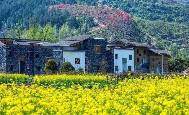 投资1500万以上富阳这个村省里要重点保护