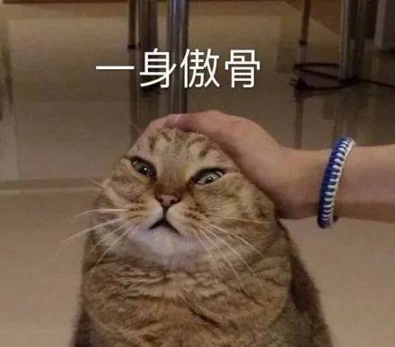 当场气晕_表情