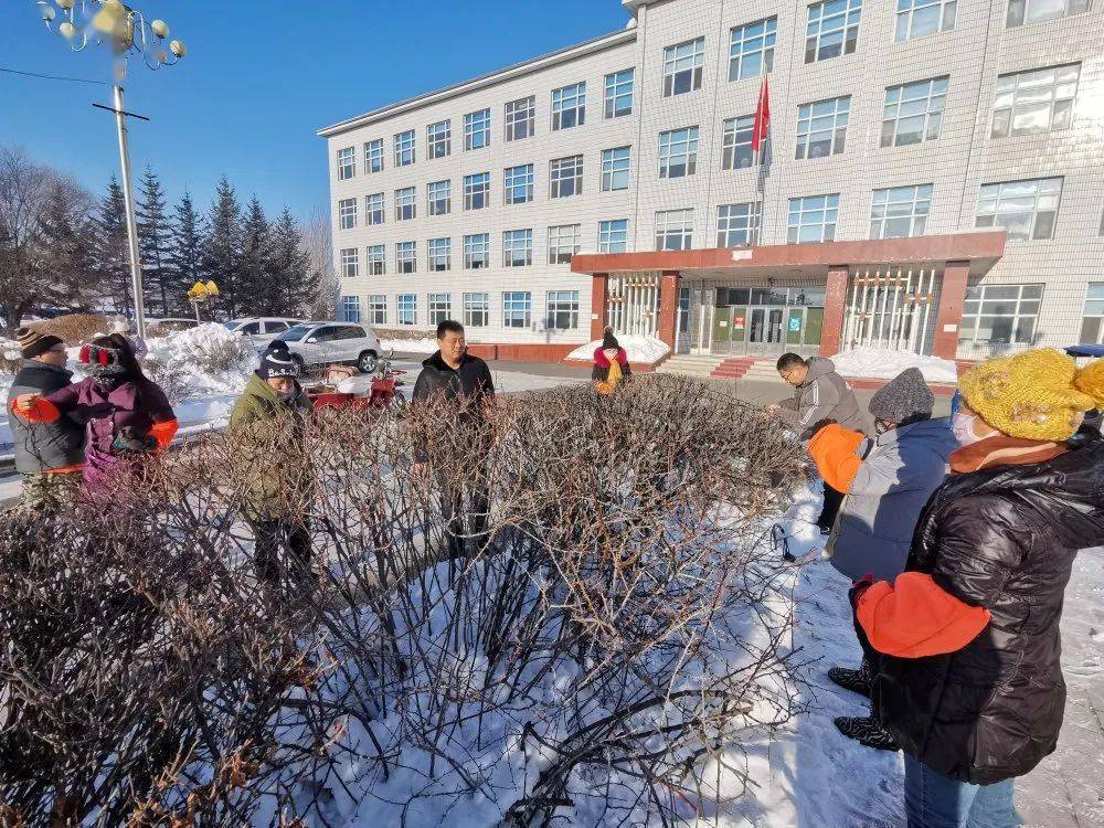 八五五农场有限公司彩灯挂枝头喜庆上眉头