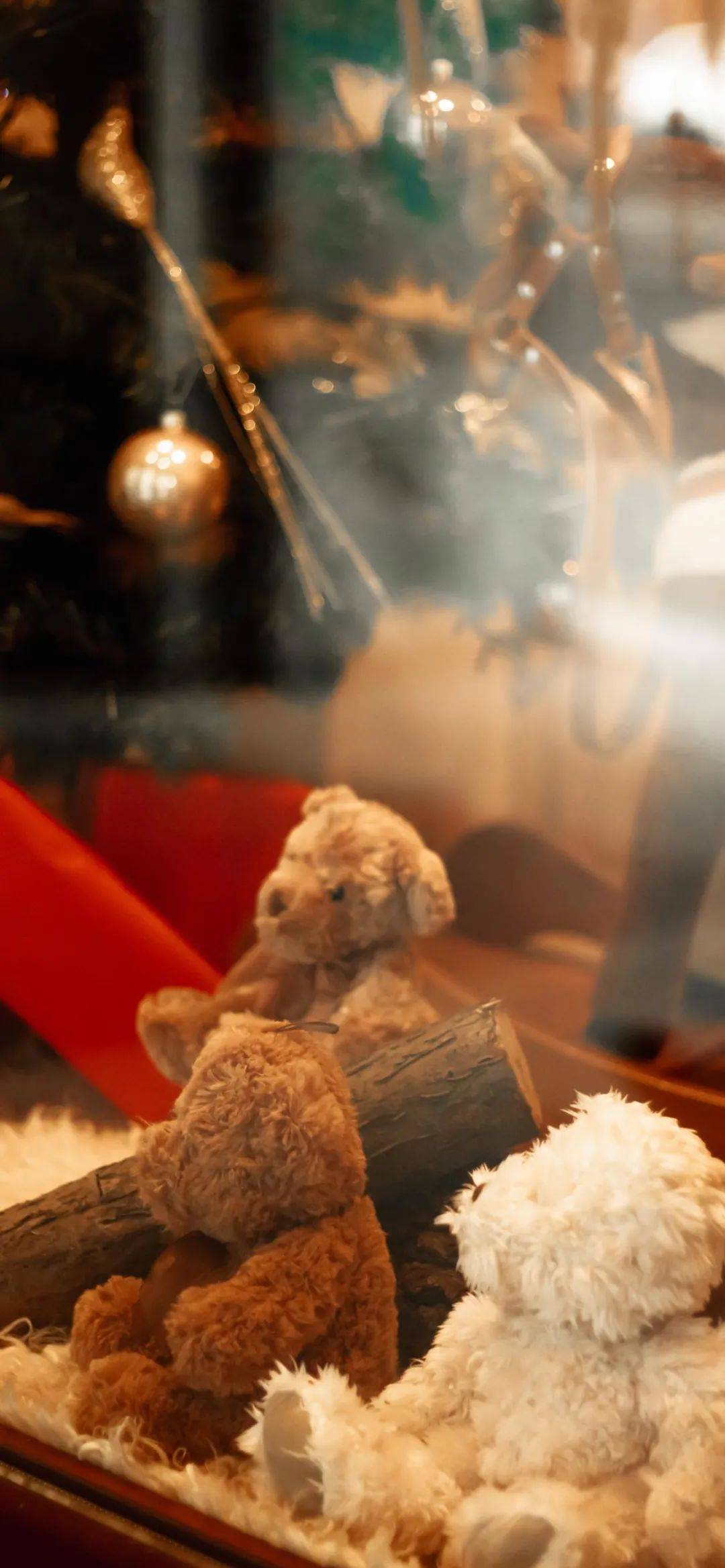 壁纸丨冬日暖阳好日常在