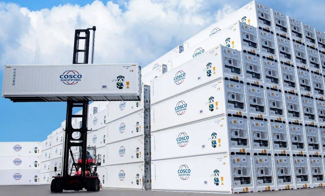 中远海运樱桃快航的凡尔赛表达_手机搜狐网