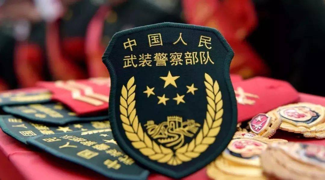 武警新臂章图片