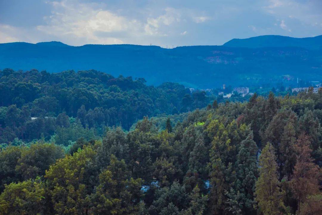 盘龙又有大动作一环黄金片区城改补偿方案公布茨坝昆机片区千亩改造