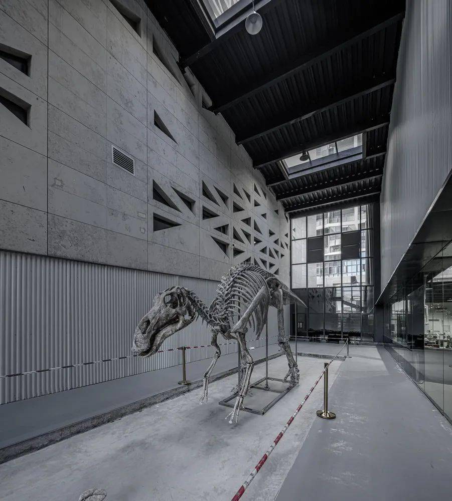 英良石材自然历史博物馆展厅博物馆