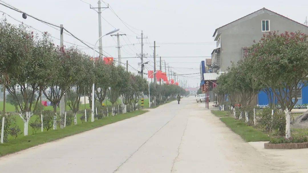 马家寨乡青安村党员户左三右三共建美丽新家园