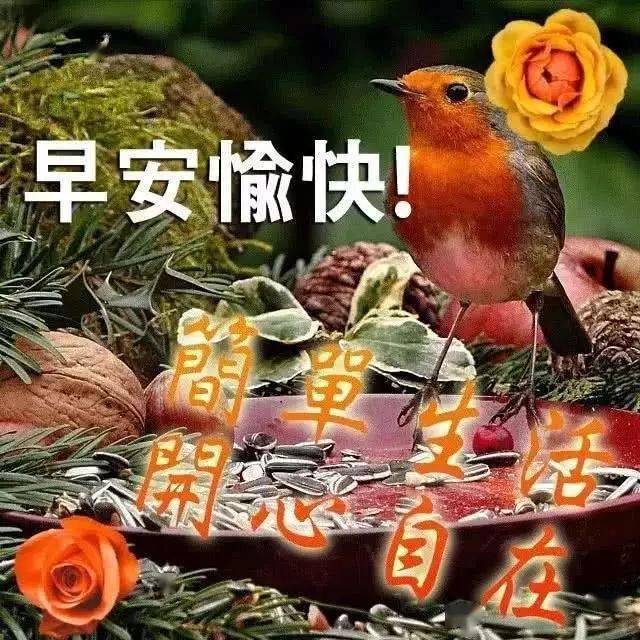 溫馨的微信早安問候語早上好鮮花問候圖片帶字