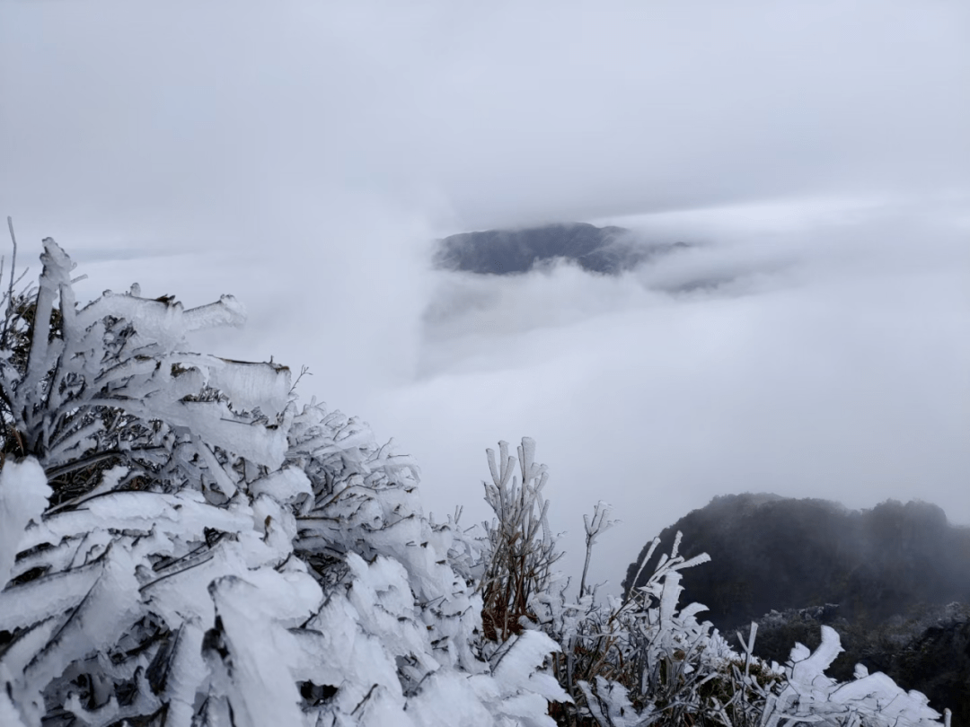 罗浮山下雪图片