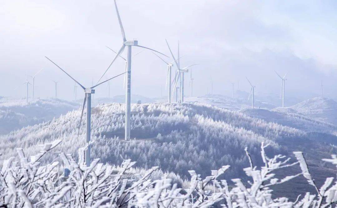 齐岳山雪景图片