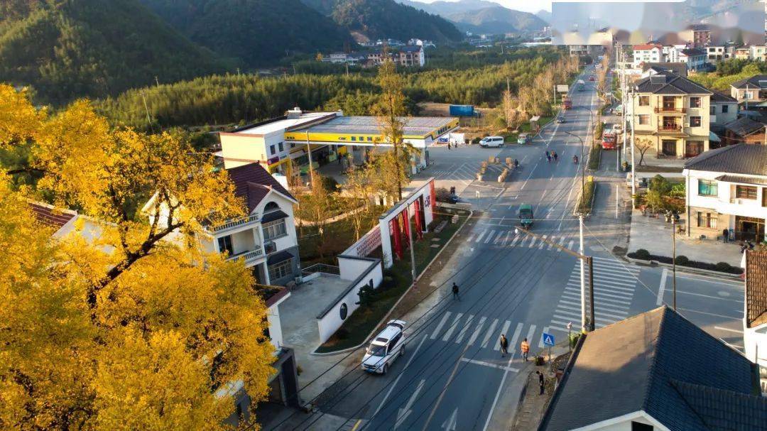 你好,灵溪村!_手机搜狐网