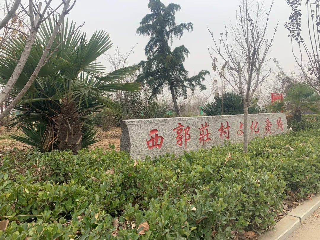 新时代文明实践一分钟带您了解唐村镇新时代文明实践站