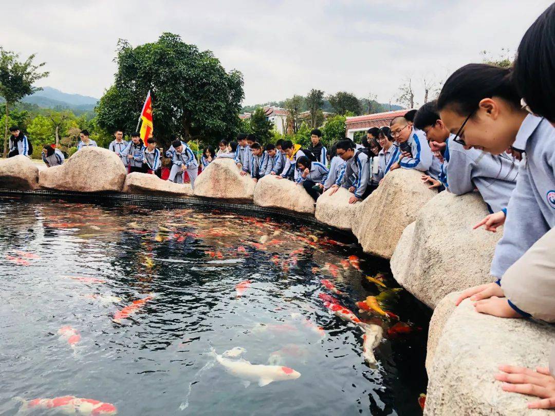 漳州东南花都研学活动图片