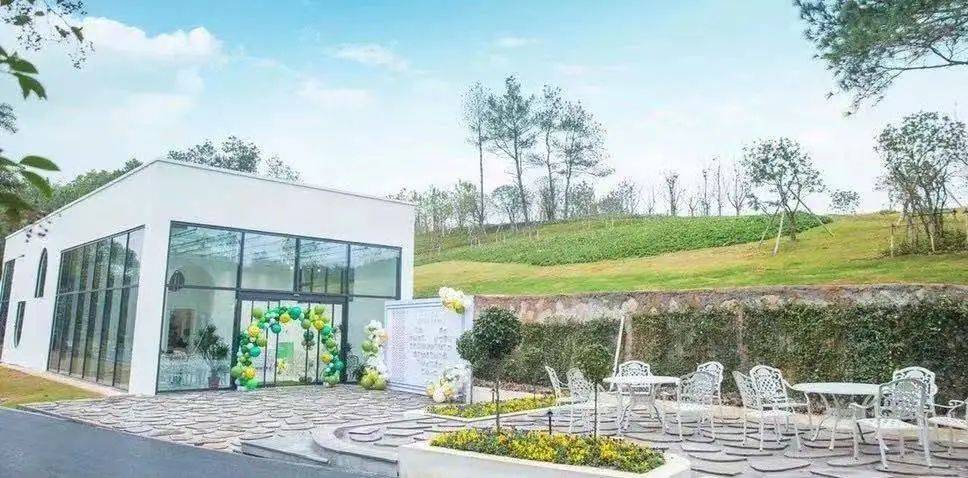 品冬日的香甜赏世间的美好金华白色森林生日小镇开园啦