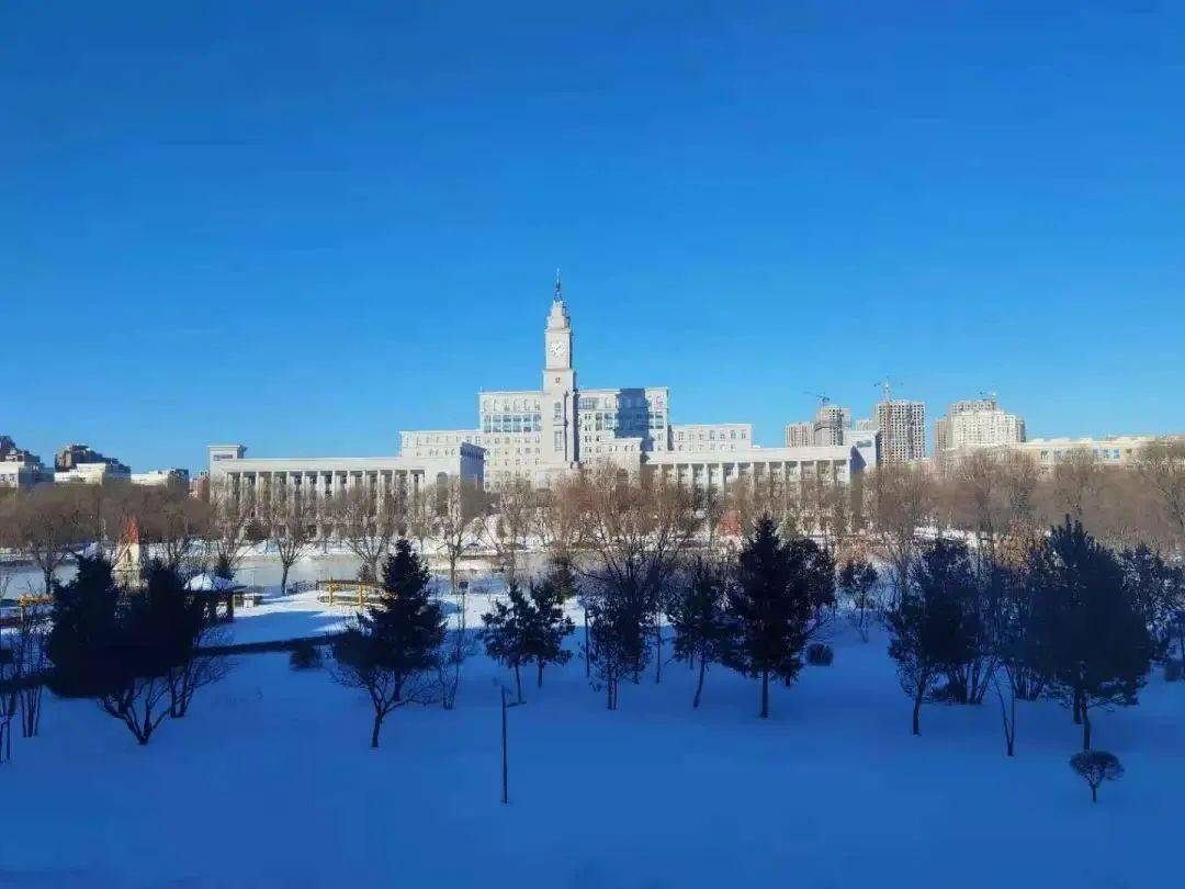 龙江高校雪景联动八一农大百湖油城虽遇寒冬温暖依在