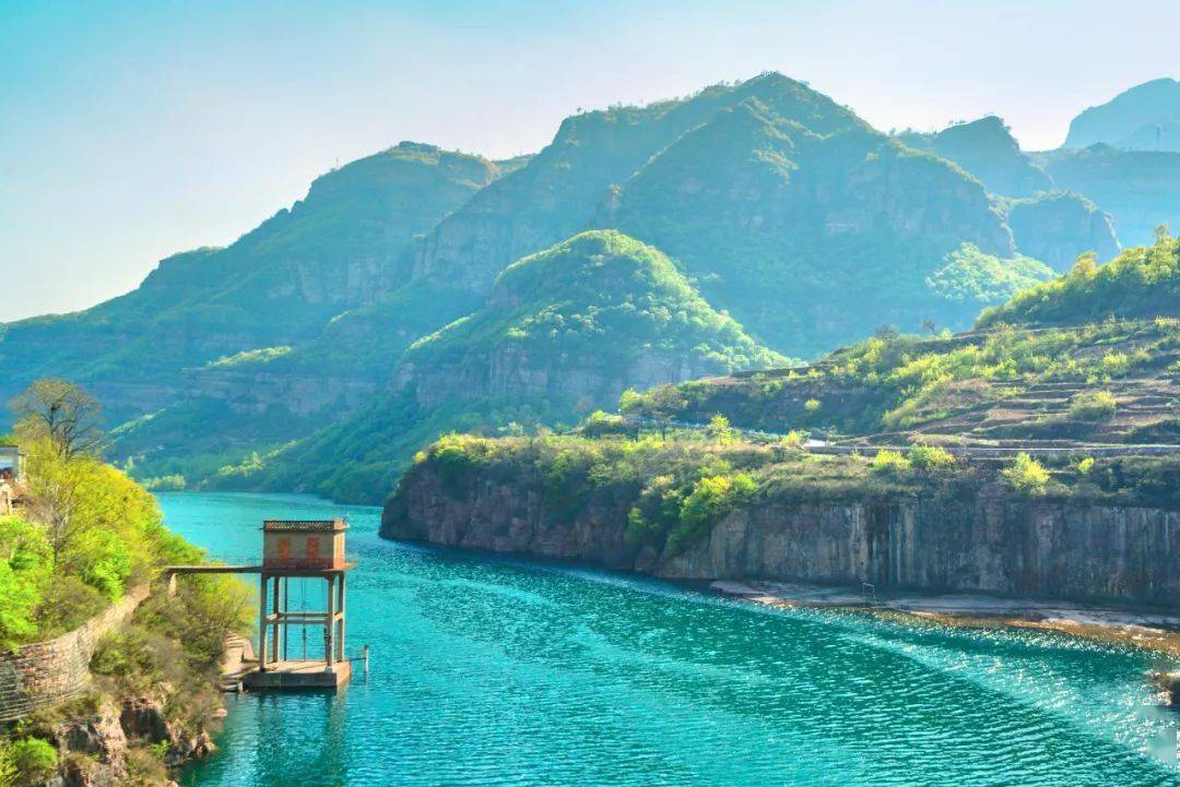 南谷洞水库喜得大鲤鱼_手机搜狐网