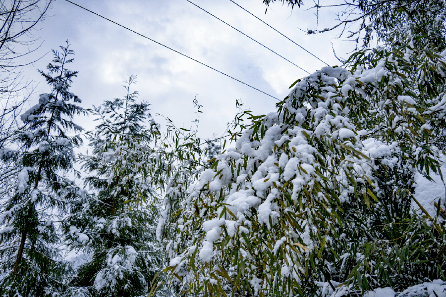 绵竹天池看雪图片