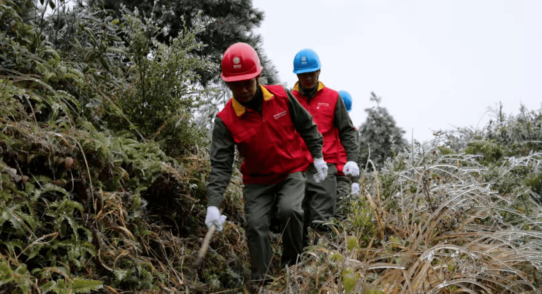 电力巡线员:冰冻天的山区灯火守护者