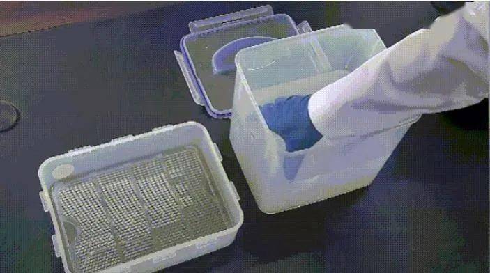 世界上最轻的东西,你能猜到是什么吗?