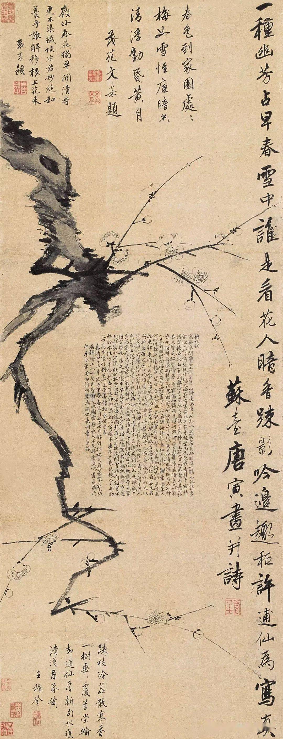 明 代王冕(1310—1359),字元章,号煮石山农,亦号食中翁,梅花屋主等