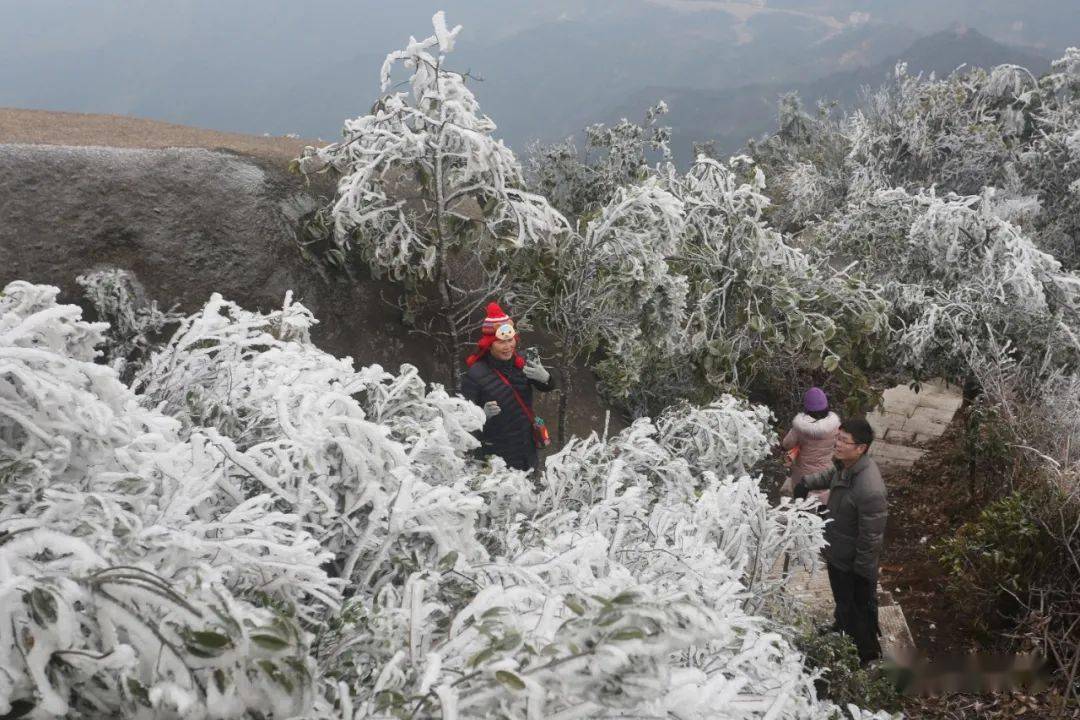 坪市莲花山的登山石阶梯修好了!直达山顶!_坪市乡