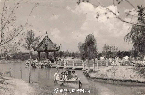 再见了！和平公园的老虎、狮子！上海人记忆里的这所公园从12月30日起闭园改建
