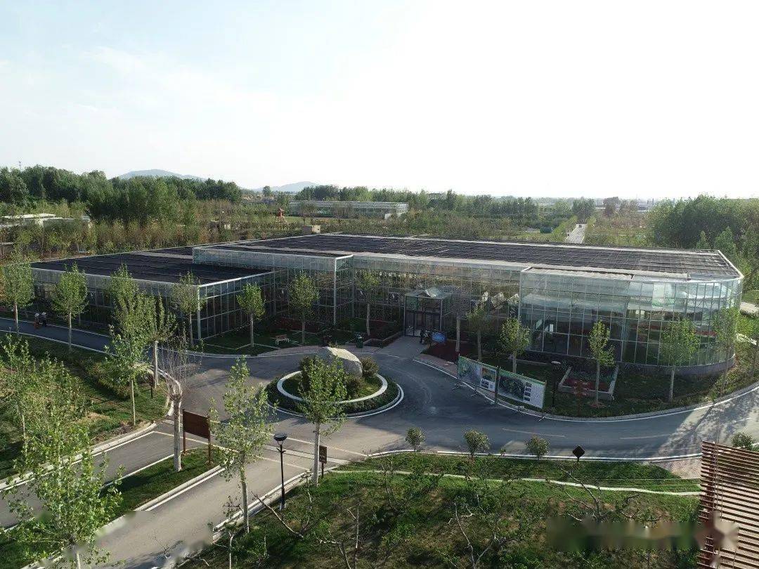 绘出乡村振兴多彩画卷宁阳县蒋集镇乡村振兴先行区建设纪实