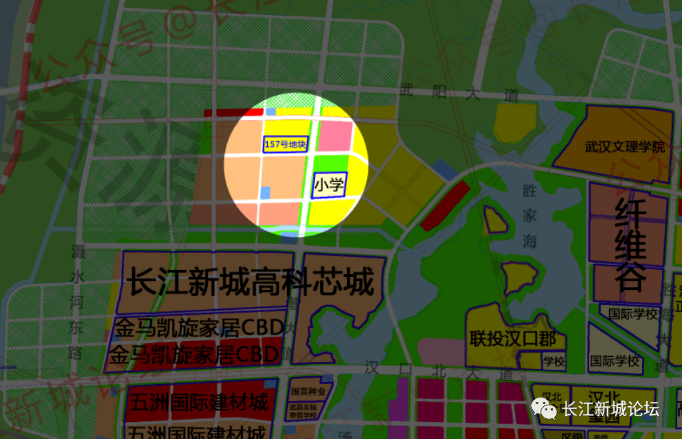 首进武汉第一站长江新区武湖