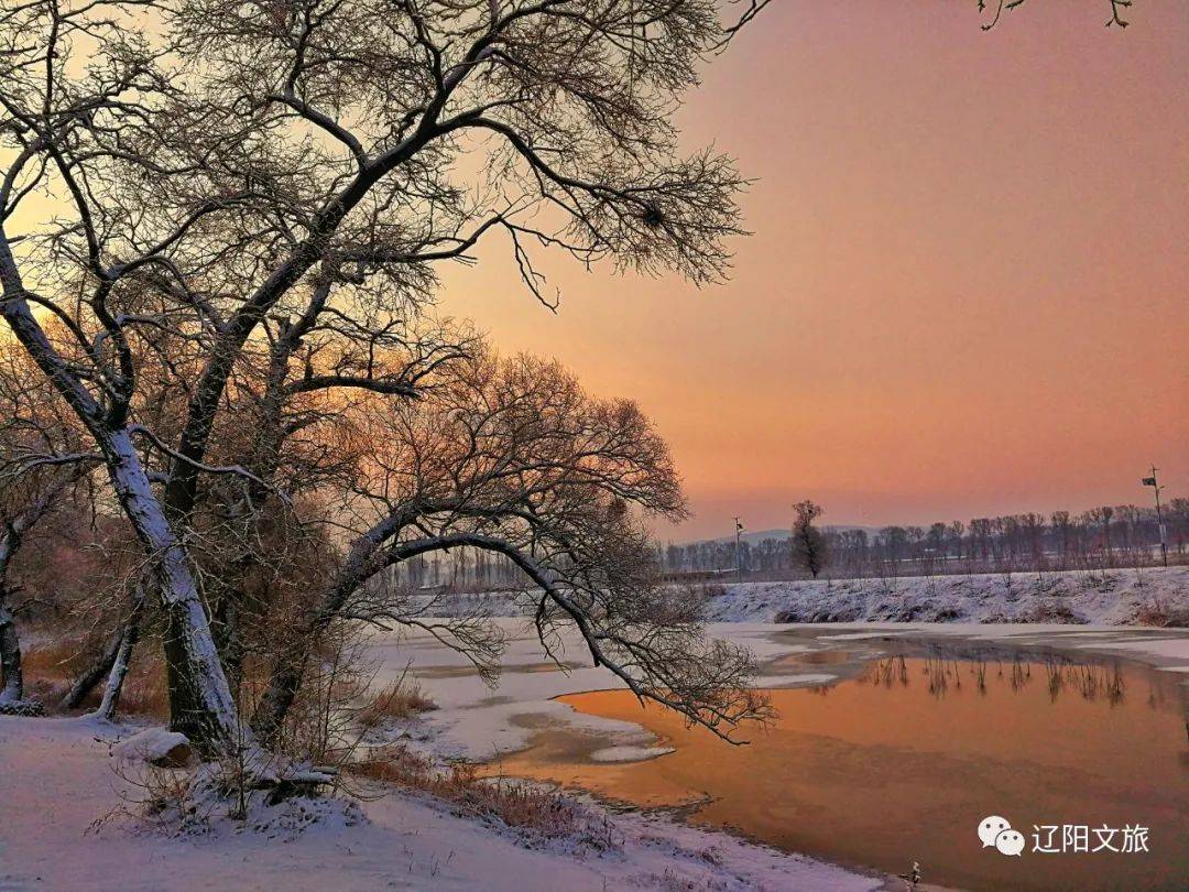 冬至夢一場風花雪月來遼陽待聽雪落下的聲音