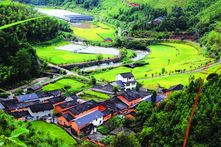 龙泉大巨后进村蝶变为清廉村居