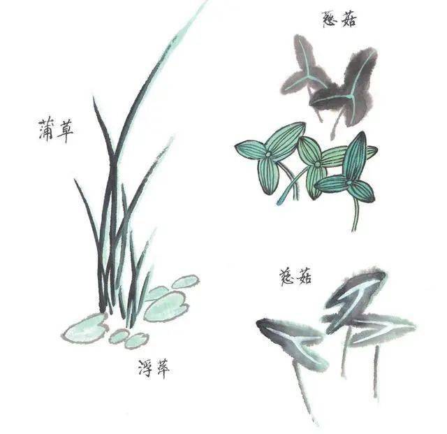 国画教程荷花画法技法解析干货
