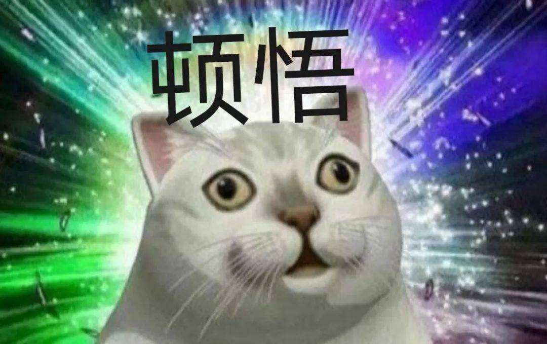 15周生生不息小讲师活动精彩回顾有用的知识增加了