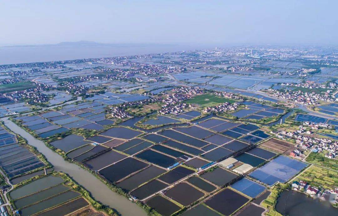 探秘生物科技领域：西安渔护生物技术有限公司的创新之道