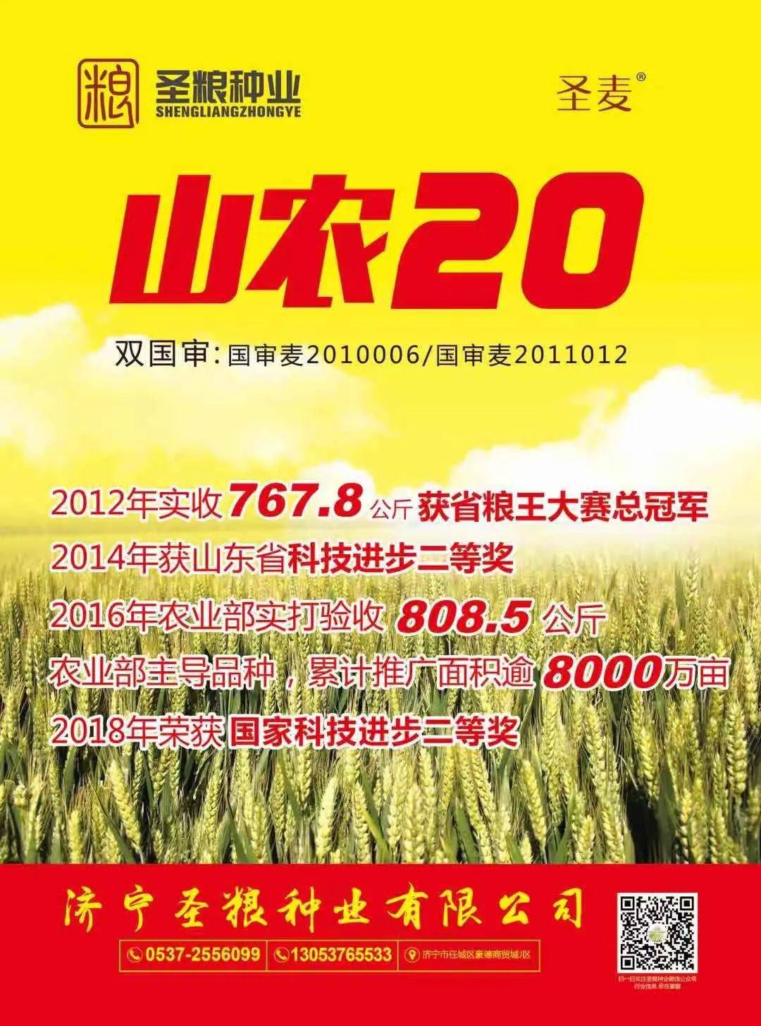 花生种子:花小宝37,38大豆种子:圣豆2号,圣豆127小麦种子:粮圣105,山