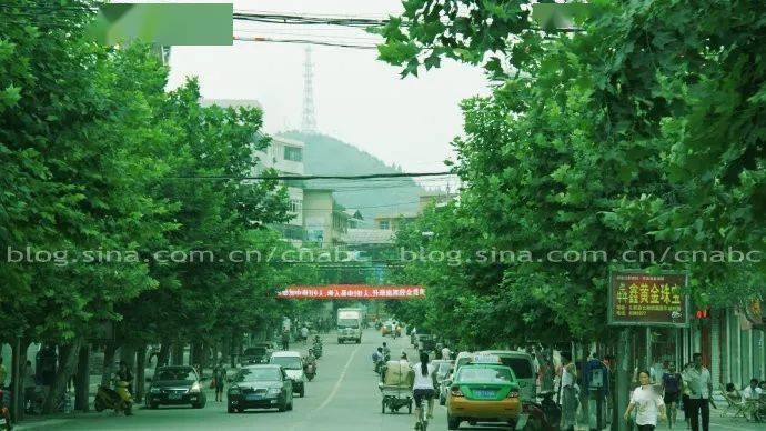 巨变!山阳县城这十年!从2010到2020有多大变化看看就知道了(组图)_护