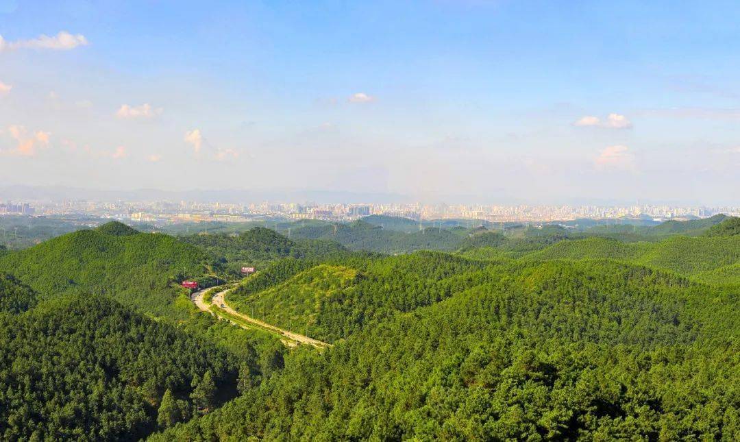 媒体宣传中国绿色时报广西国有七坡林场