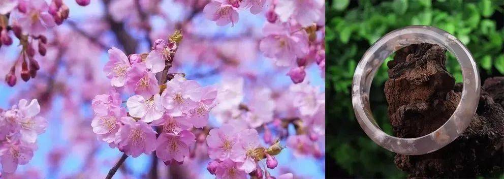 岩浆流入海底,经过亿万年的沉淀凝结而形成结晶,因为像极了四月樱花