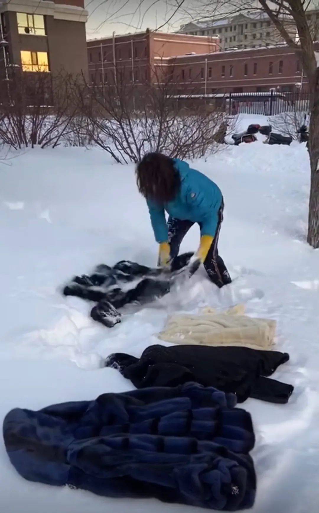 雪地洗貂是东北人的日常操作网友表示不服气我们不差雪差的是皮草