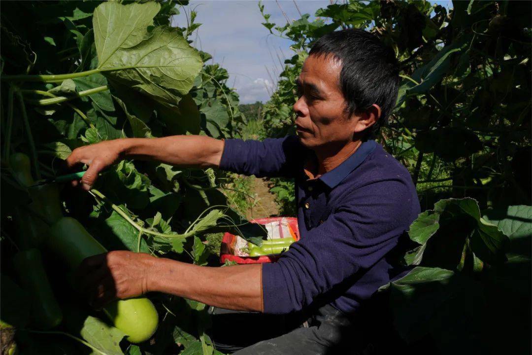 5万元;2017年,古农农场商会给了100只蛋鸡进行产业扶贫,我又参加2017