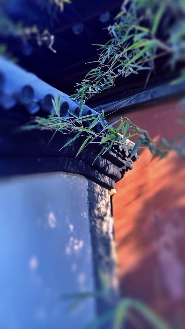 东方意境似诗如画